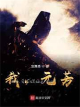 我，元芳小说