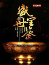 盛世宝鉴小说