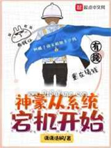 神豪从系统宕机开始小说