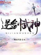 逆剑武神小说