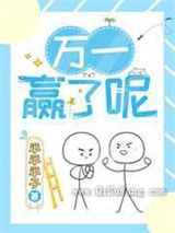 万一赢了呢小说