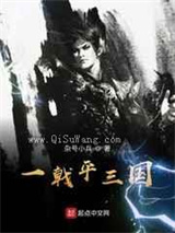 一戟平三国小说