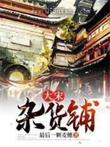 大宋杂货铺小说