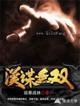 汉谋无双小说