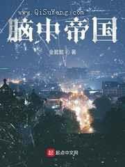 脑中帝国小说