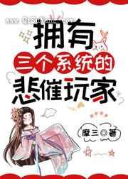 拥有三个系统的悲催玩家小说
