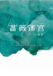 蔷薇迷宫小说