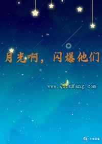 月光啊，闪爆他们小说