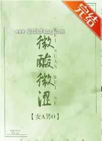 微酸微涩小说