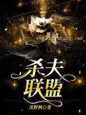 杀夫联盟小说