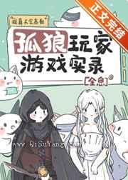 孤狼玩家游戏实录小说