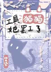 工具猫猫她罢工了小说