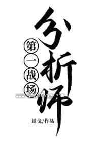 第一战场分析师小说