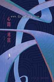 心路迷宫小说