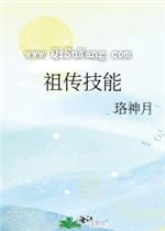 祖传技能小说