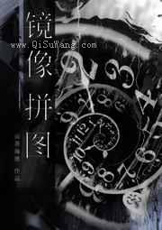镜像拼图小说