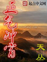 正气冲宵小说