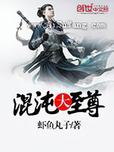 混沌大至尊小说