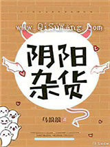 阴阳杂货小说