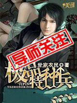 极品特种兵小说