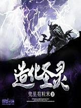造化圣灵小说