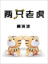 两只老虎小说