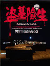 盗墓险生小说