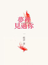 待到将军入梦时小说