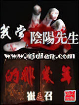 我当阴阳先生的那几年小说