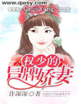 权少的冒牌娇妻小说