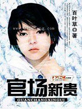 官场新贵小说
