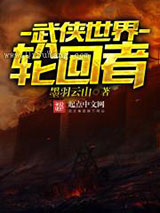 武侠世界轮回者小说