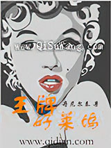 王牌好莱坞小说