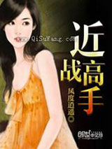 近战高手小说