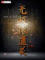 无极限通灵小说