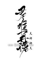 君难再诺却难以表我心小说