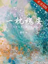 一枕槐安小说
