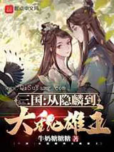 三国：从隐麟到大魏雄主小说
