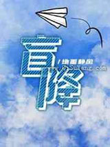 盲降小说