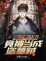 指点考古队，竟被当成盗墓贼小说