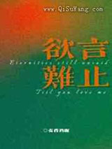 欲言难止小说