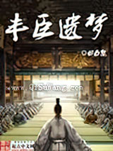丰臣遗梦小说