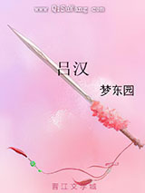 吕汉小说