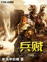 兵贼小说