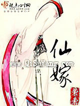 仙嫁小说
