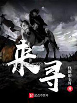 来寻小说