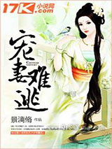 宠妻难逃小说