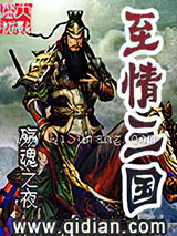 至情三国小说