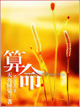 算命小说
