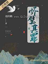 怀璧其罪小说
